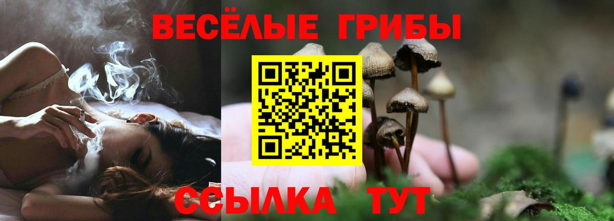 Псилоцибиновые грибы Psilocybine cubensis Оренбург